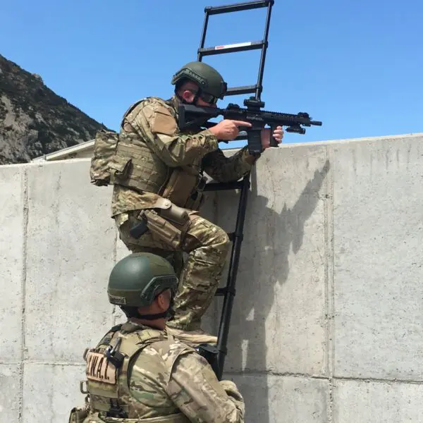 Two soldiers are climbing a ladder to reach the top of a wall.